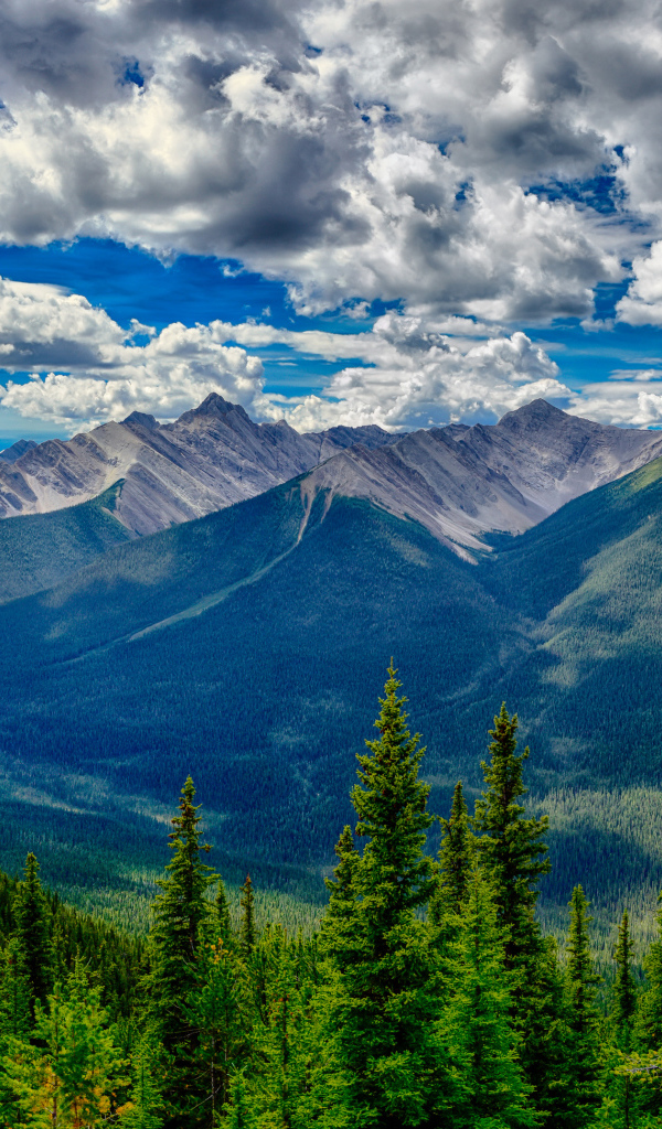 Красивое небо с белыми облаками над покрытыми лесом горами