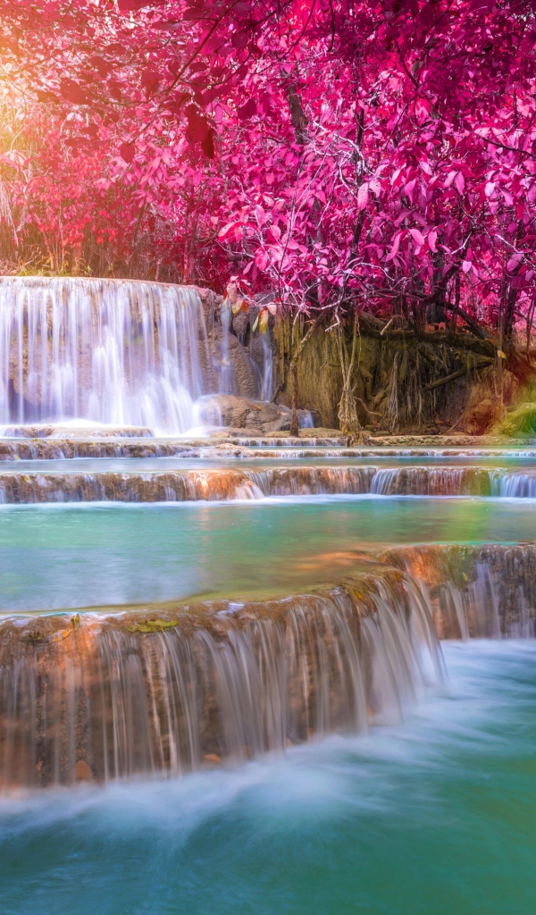 Красивые деревья с красными листьями у водопада 