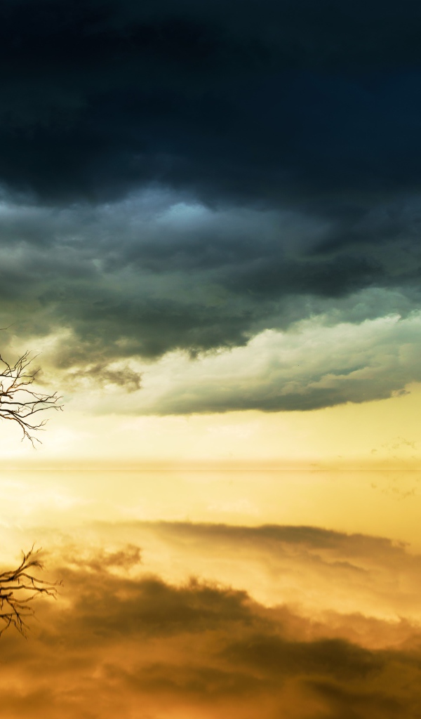 Черные облака в небе и дерево отражаются в воде