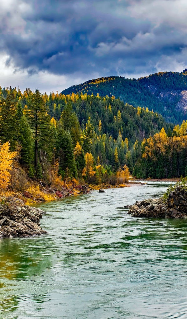 Чистая река в горах 
