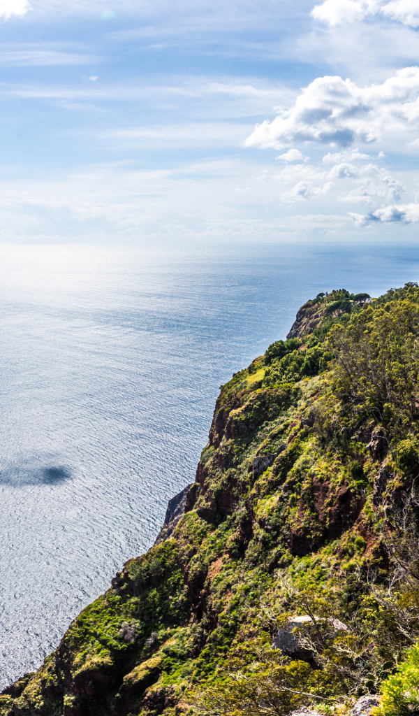 Утес на берегу океана на фоне красивого голубого неба