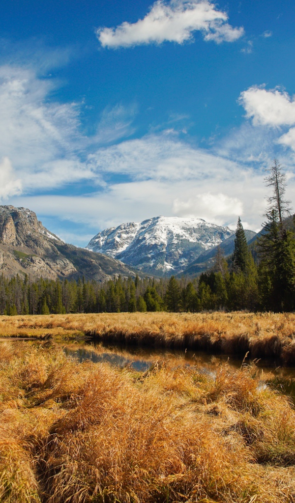 Сухая трава рядом с рекой на фоне гор 