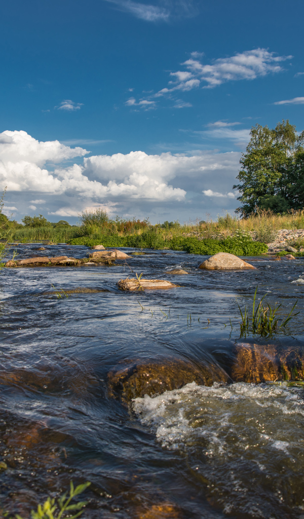 Быстрая речная вода стекает по камням под красивым голубым небом
