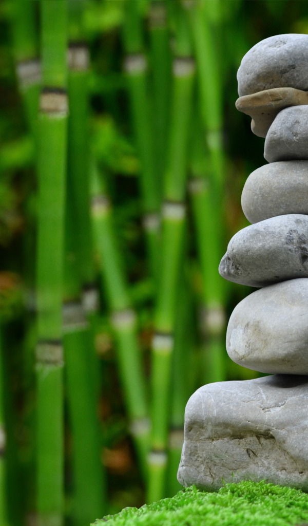 Серые камни на фоне зеленого бамбука