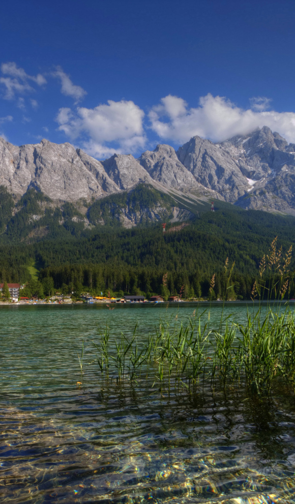 Зеленый лес у горного озера, Германия