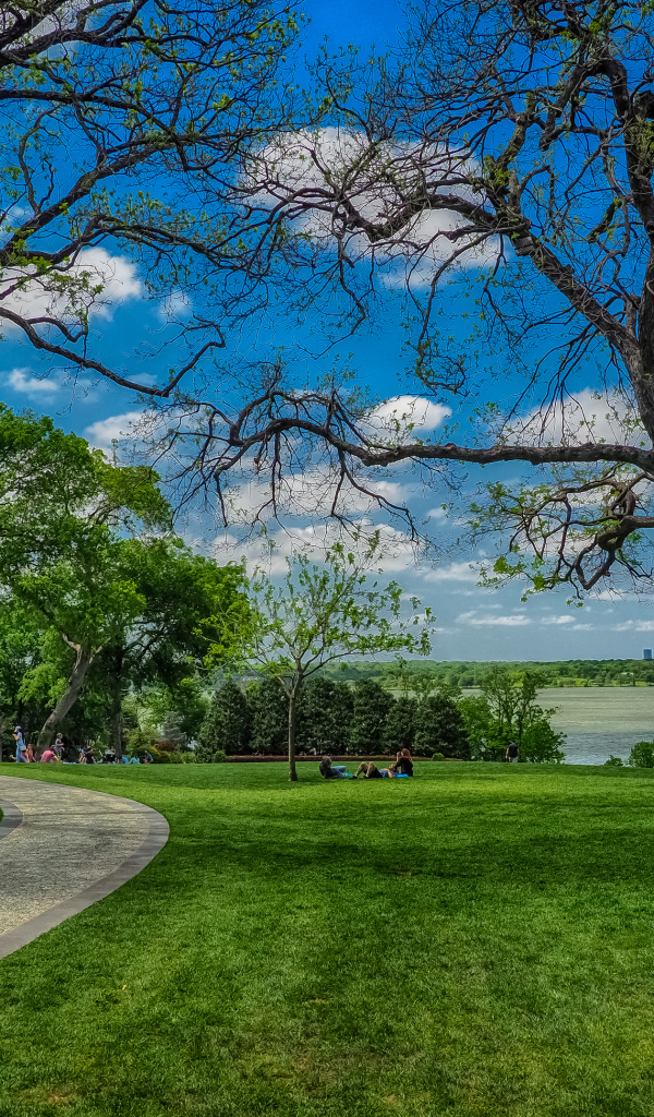 Зеленые газоны в парке на фоне красивого голубого неба