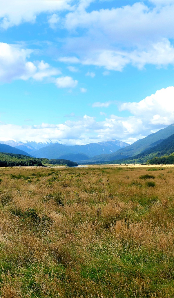 Зеленые природные просторы Новой Зеландии 