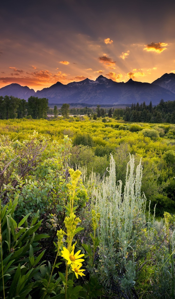 Зеленая природа и горы в лучах солнца 