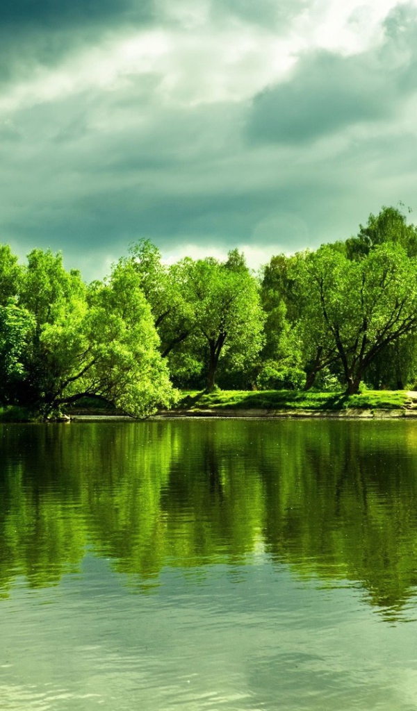 Зеленые деревья отражаются в глади  озера 