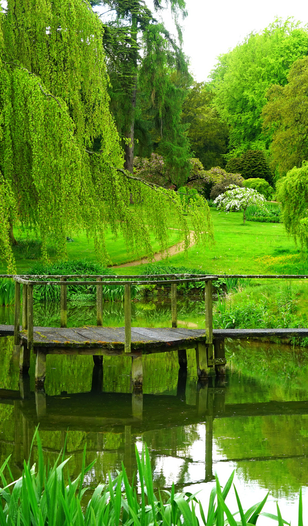 Зеленые деревья над старым мостом у пруда в парке