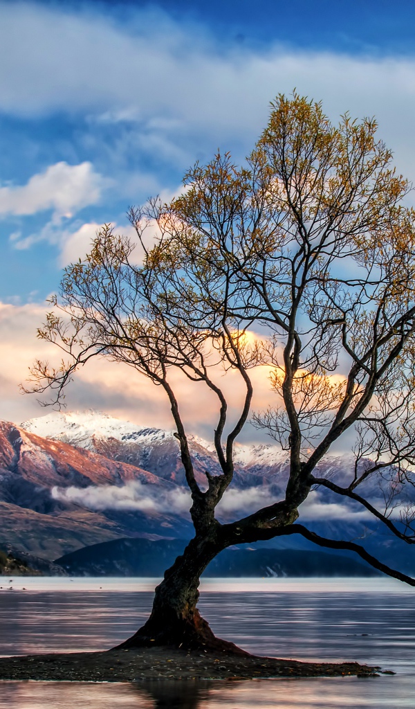 Островок с деревом в озере на фоне гор