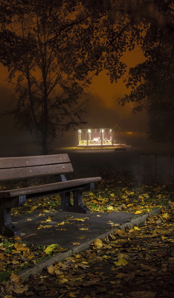 Одинокая скамейка в осеннем парке ночью