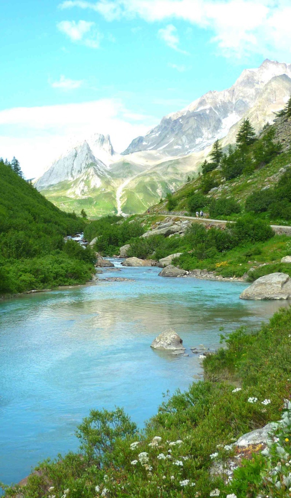 Горная река меж зеленых берегов 