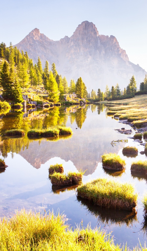 Горы трава и деревья отражаются в лесном озере