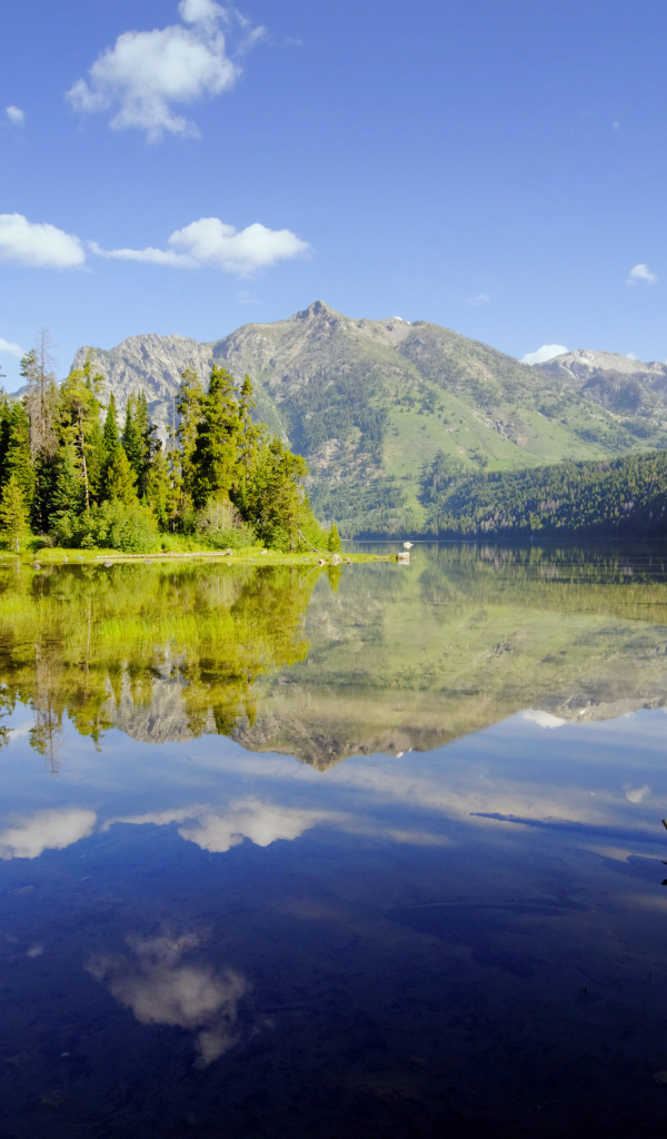 Живописная природа у горного озера 