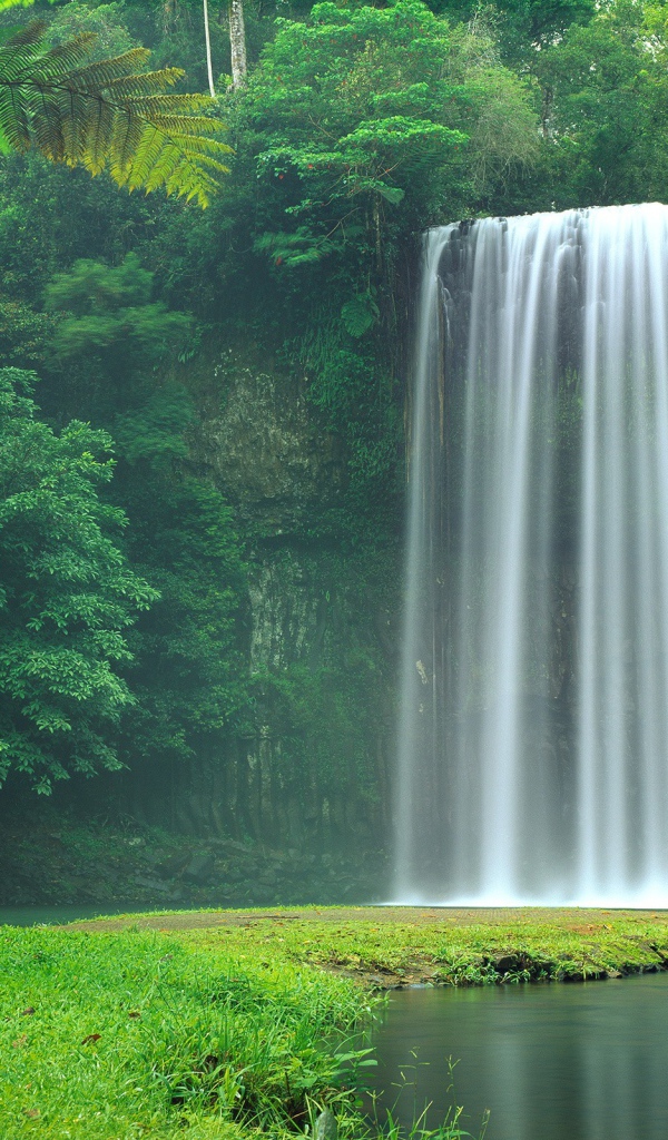 Живописный водопад между зеленых деревьев 