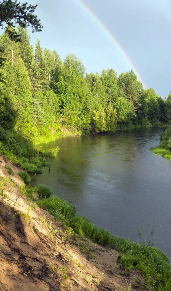 Радуга над рекой в зеленом лесу 