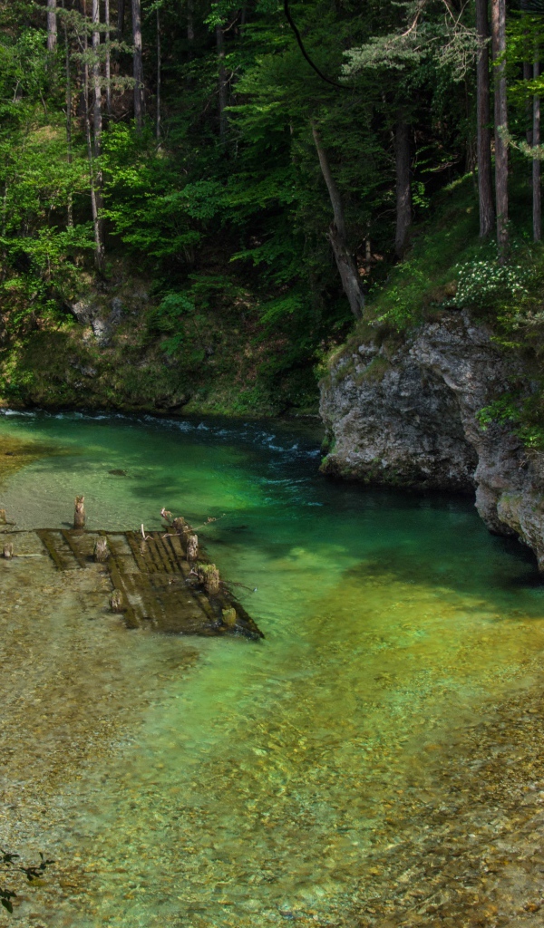 Река возле каменного утеса 