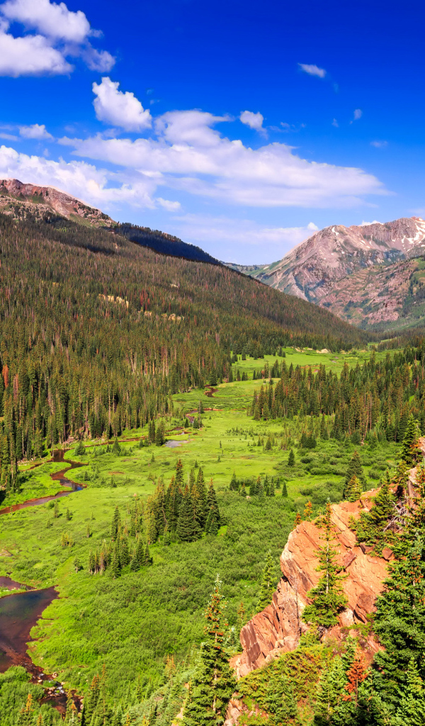 Живописный природный пейзаж под голубым небом 