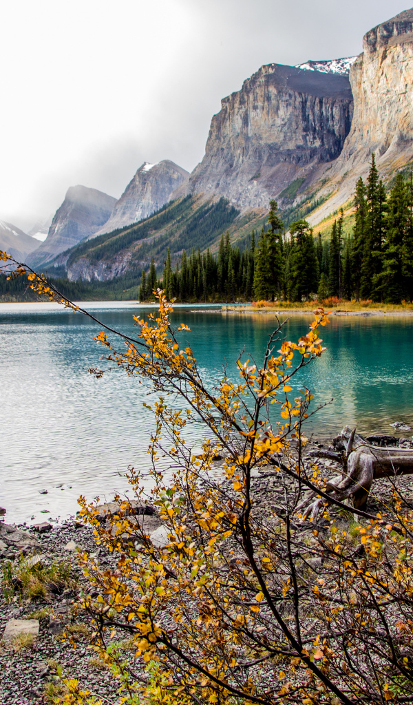 Остров Спирит на озере Малайн, Национальный парк Джаспер, Канада 