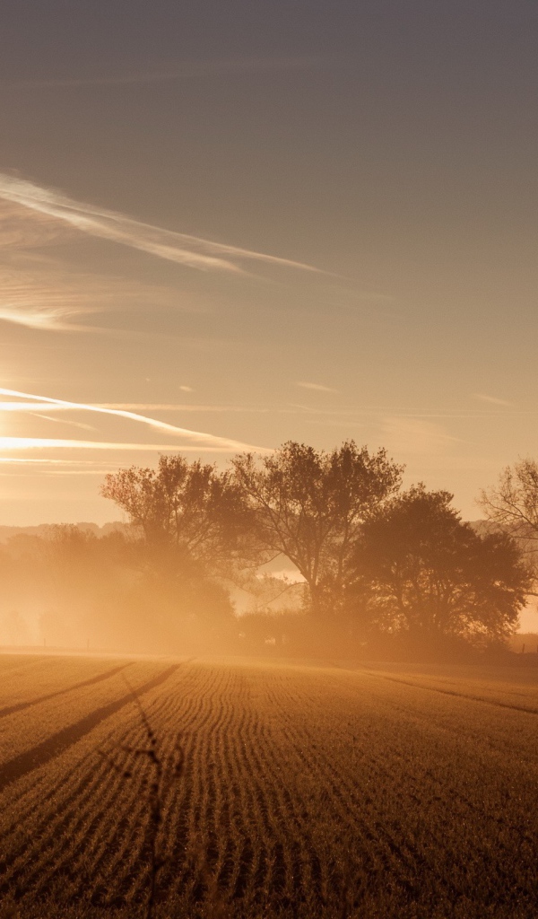 Восход солнца и туман над полем 