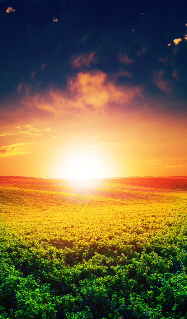 Восход яркого летнего солнца над полем