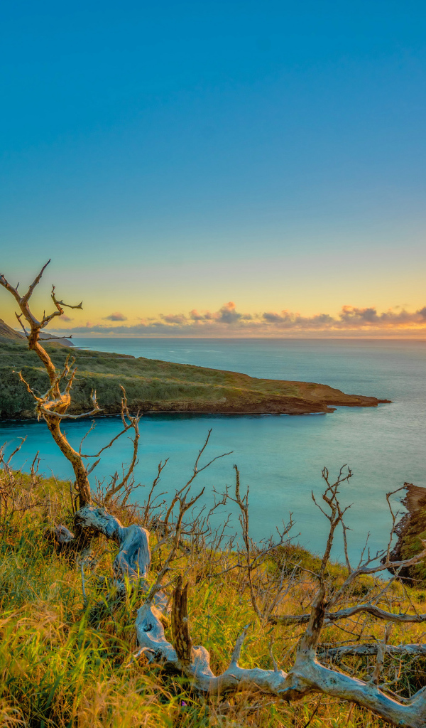 Восход яркого солнца над океаном 