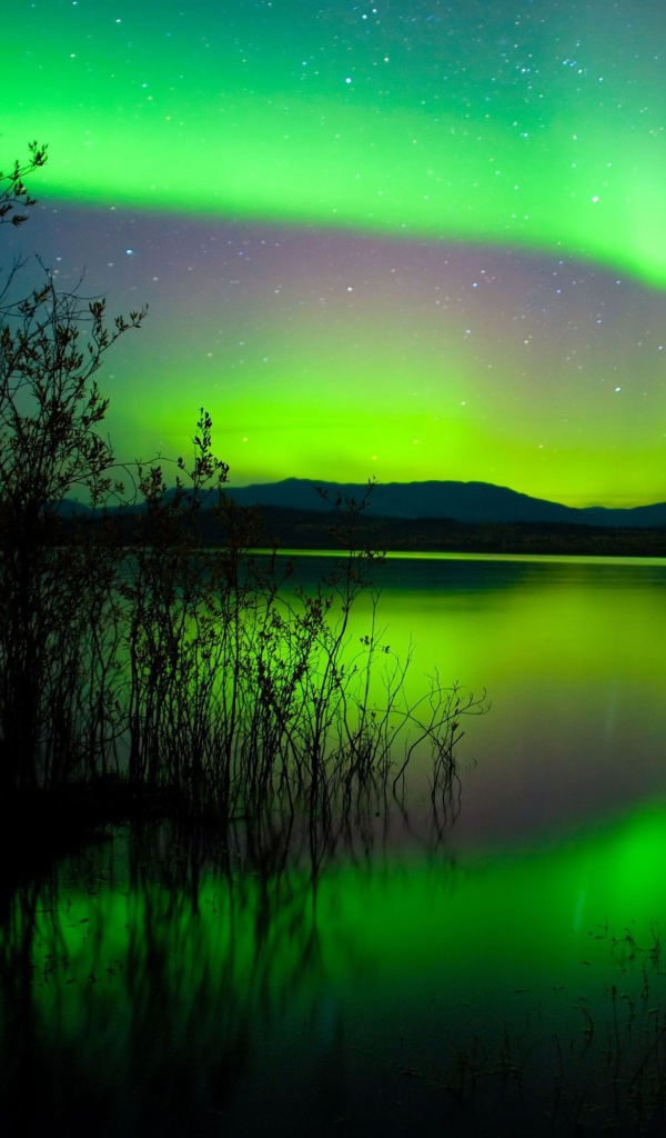 Зеленое северное сияние отражается в воде пруда