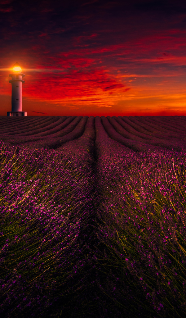 Маяк освещает лавандовое поле под красивым небом
