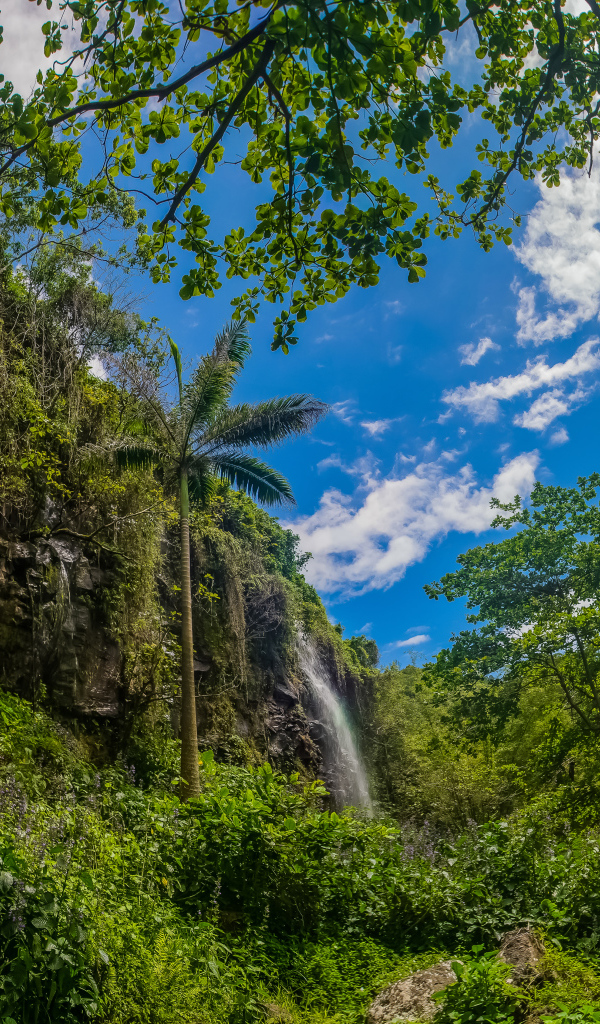 Водопад в тропическом лесу на фоне голубого неба 