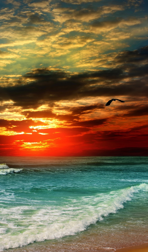 Белые волны на берегу океана на закате солнца