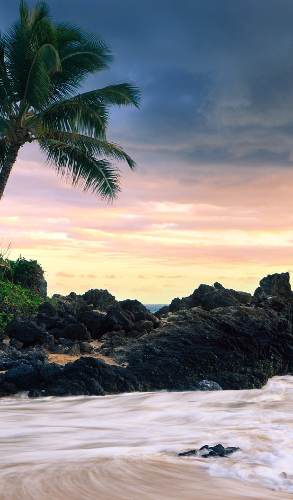 Красивый зеленый пляж 