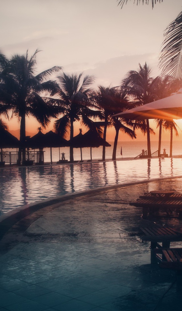 Пальмы у бассейна на пляжном курорте  