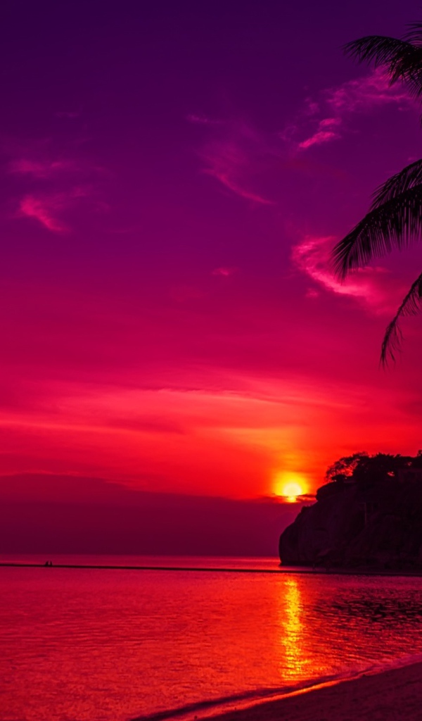 Пальмы на пляже под розовым закатом 