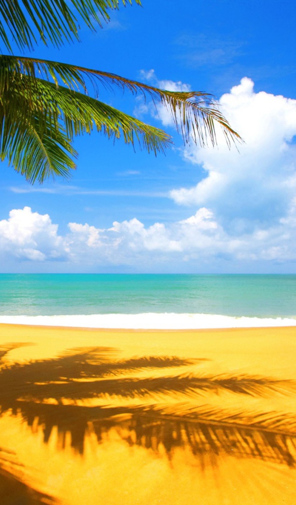 Пальмы на желтом песке 