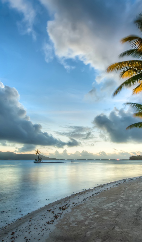 Пальмы под красивым небом у океана на побережье Бора-Бора