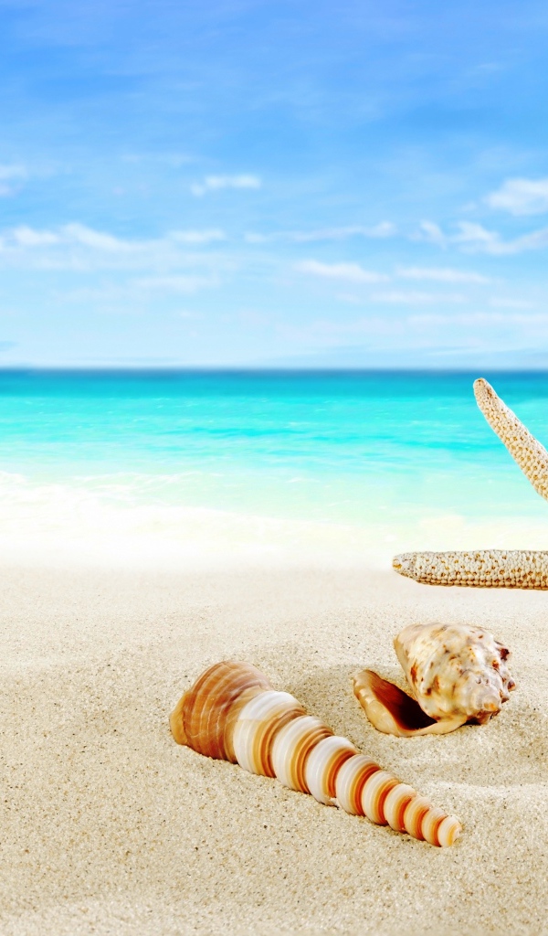 Ракушки и зонт на тропическом пляже