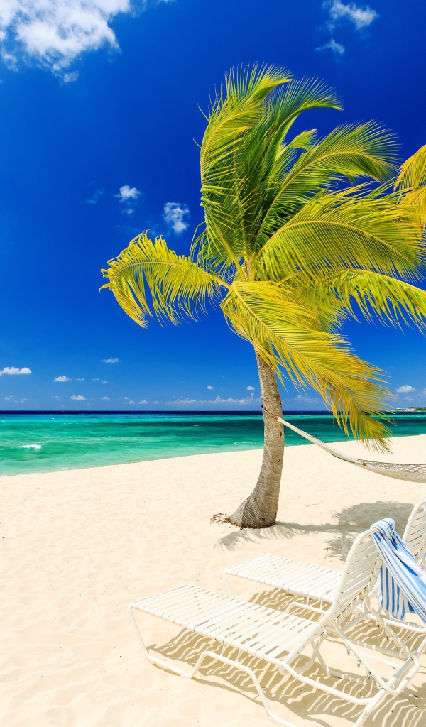 Лежаки и пальмы у моря на пляже с белым песком