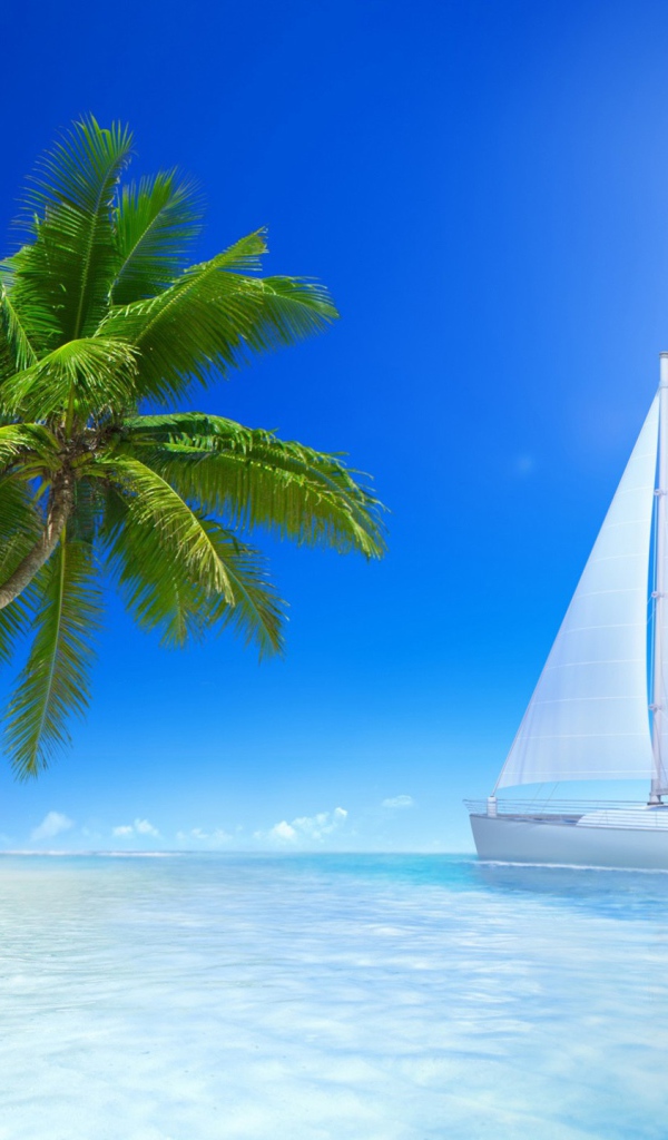 Белые парусники под солнцем у пляжа 