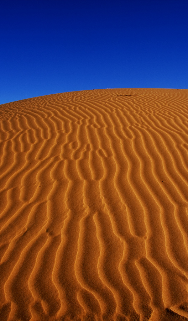 Пустыня Сахара под красивым голубым небом