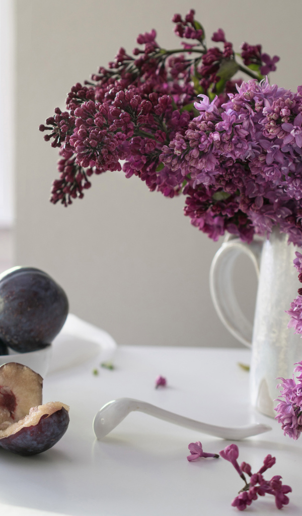 Красивый букет сирени в белой вазе на столе со сливами