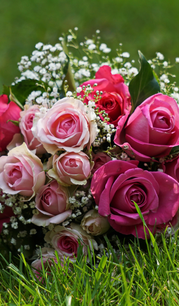 Букет роз лежит на зеленой траве