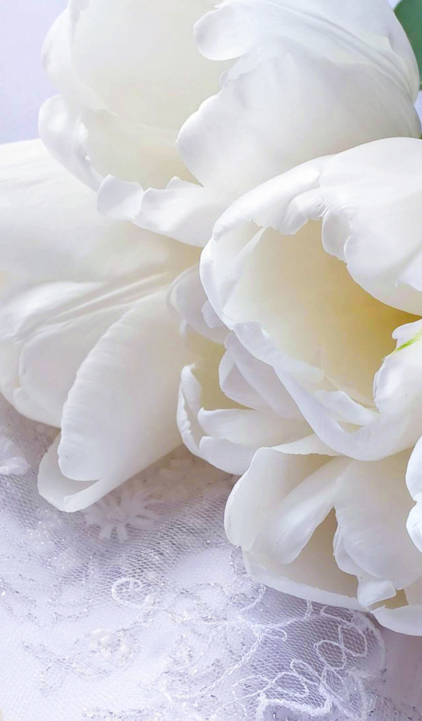 Букет нежных белых тюльпанов и жемчужное ожерелье 