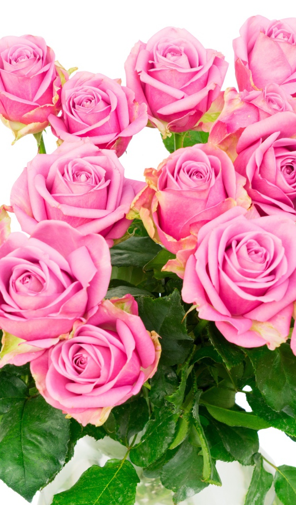 Красивый большой букет розовых роз на белом фоне