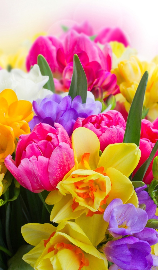 Красивый большой букет весенних цветов 