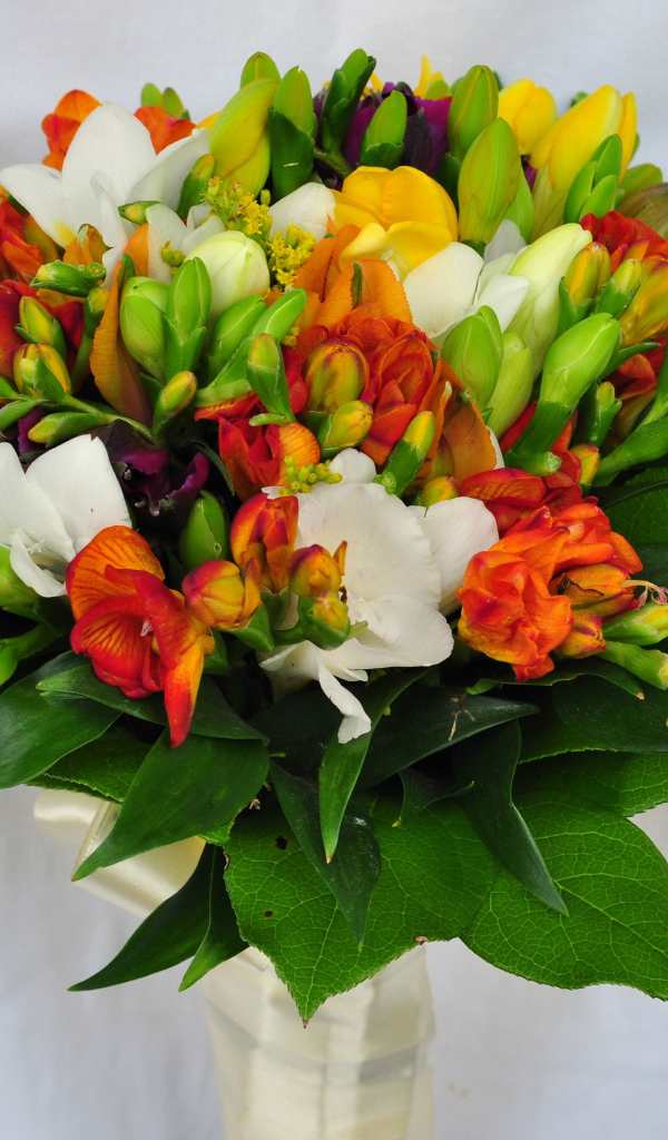 Красивый букет фрезий на сером фоне