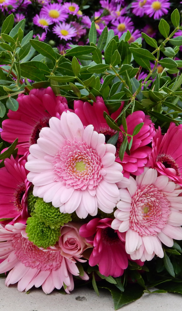 Красивый букет розовых гербер 