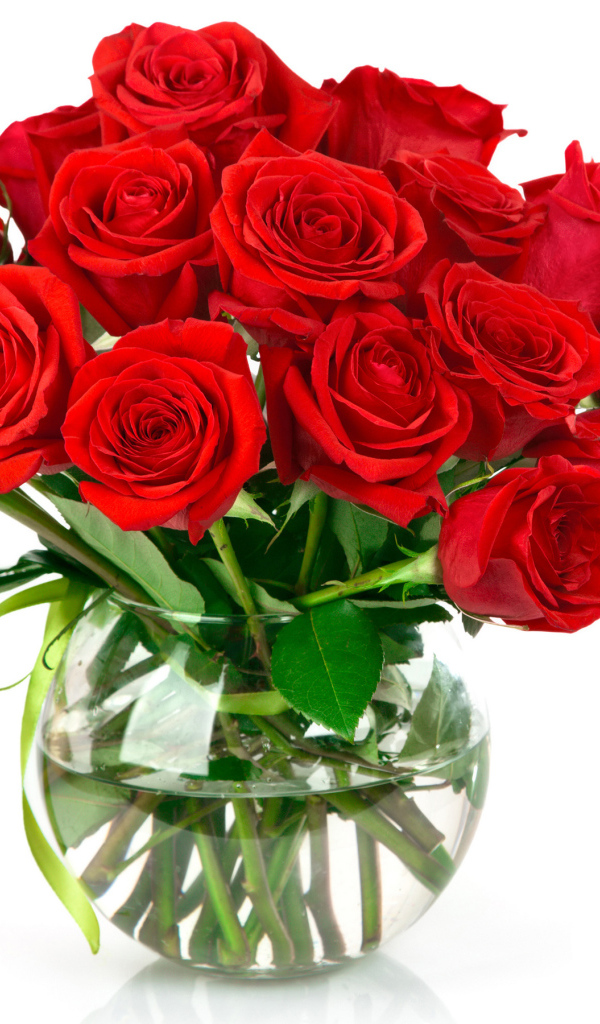 Красивый букет красных роз в стеклянной вазе на белом фоне