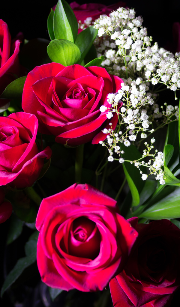 Красивый букет красных роз на черном фоне