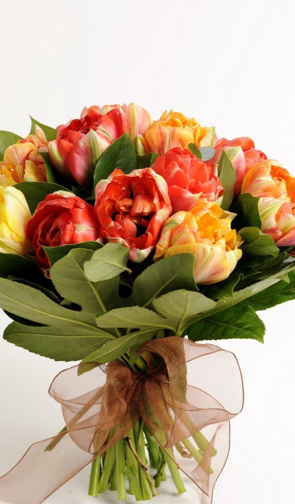 Красивый букет тюльпанов на белом фоне